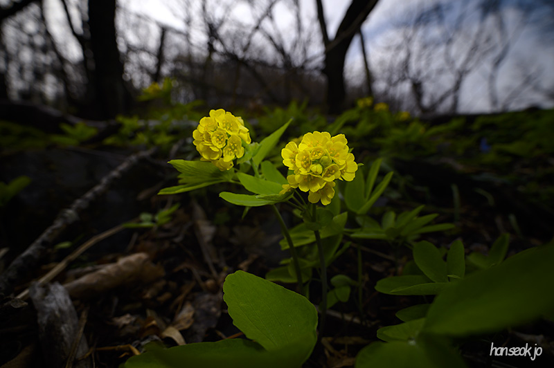 DSC_2478.jpg
