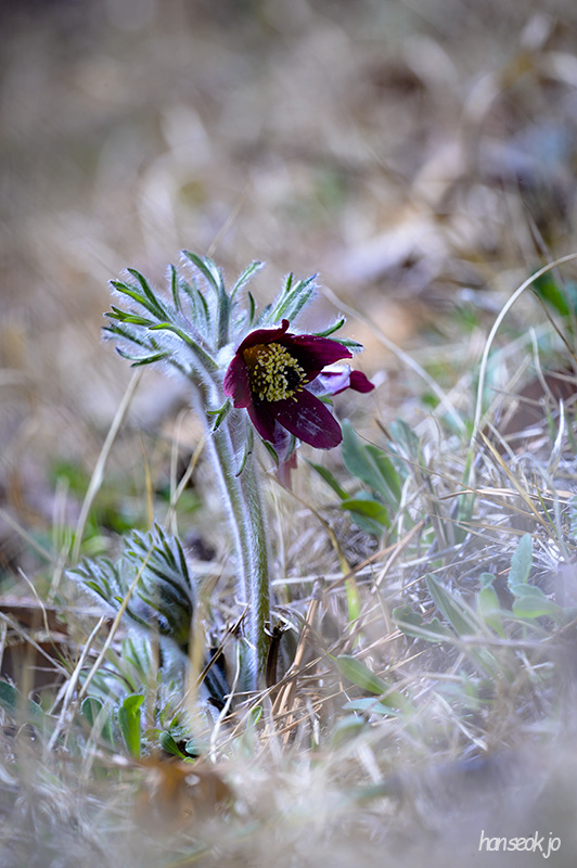 DSC_1890.jpg