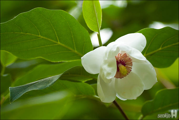 DSCF8541.jpg