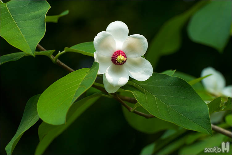 DSCF8588.jpg