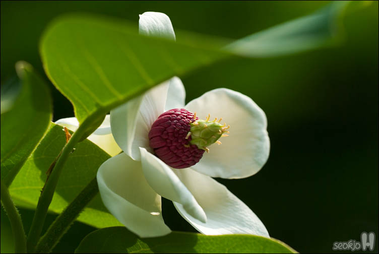 DSCF8589.jpg