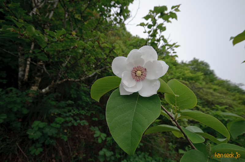 DSC_7213.jpg