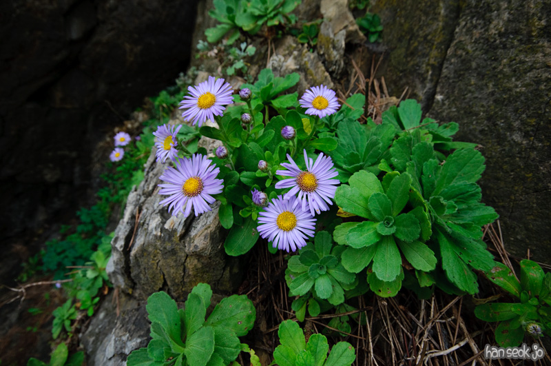 DSC_8636.jpg