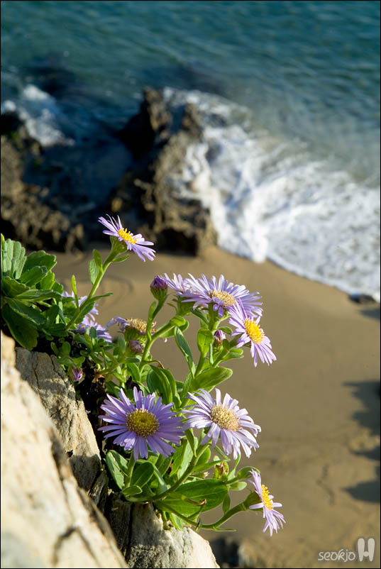 DSCF5895.jpg