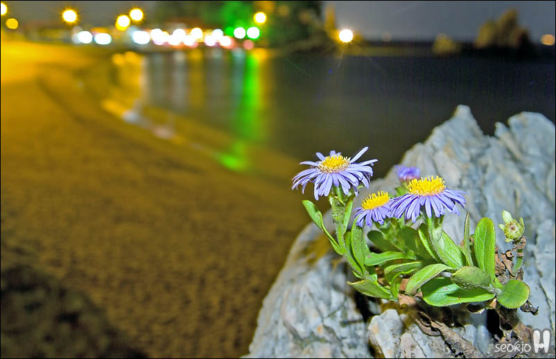 DSCF5850.jpg