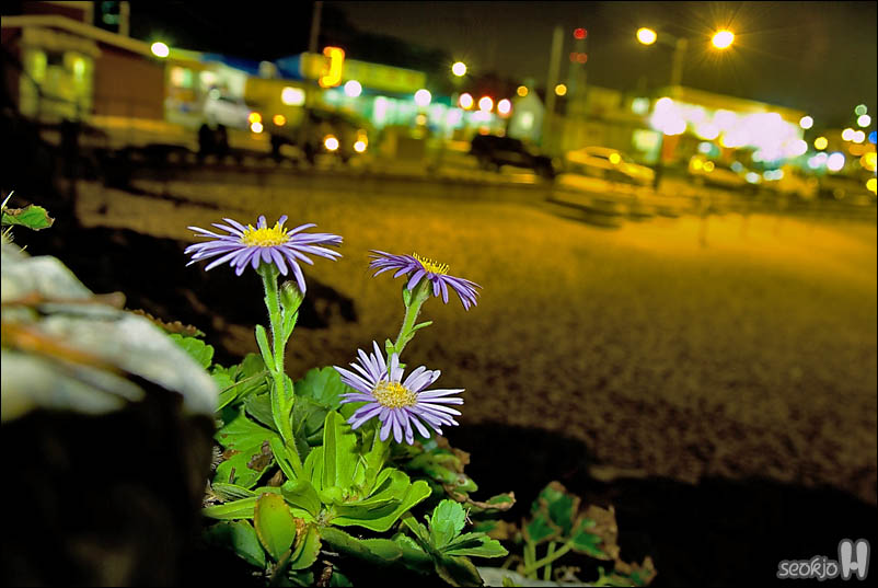 DSCF5851.jpg