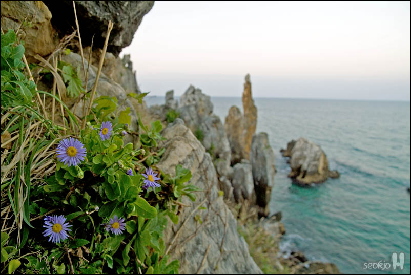 DSCF5836.jpg