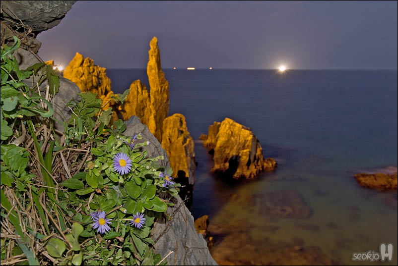 DSCF5847.jpg