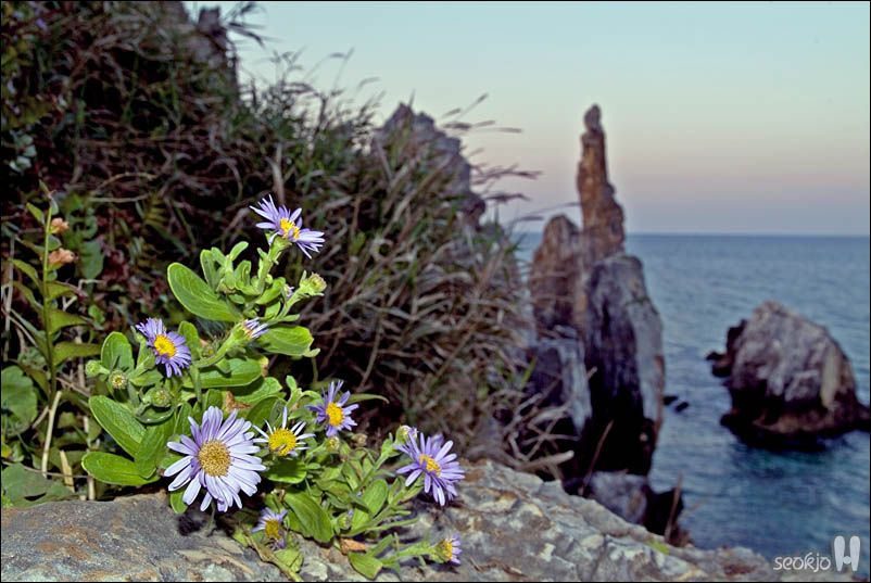 DSCF5833.jpg