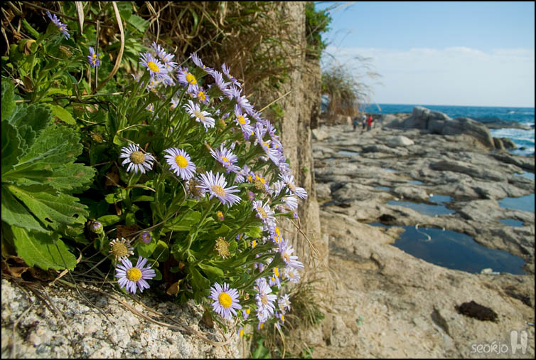 DSCF4288.jpg