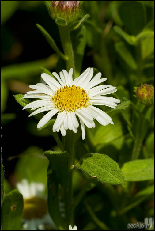 DSCF4299.jpg