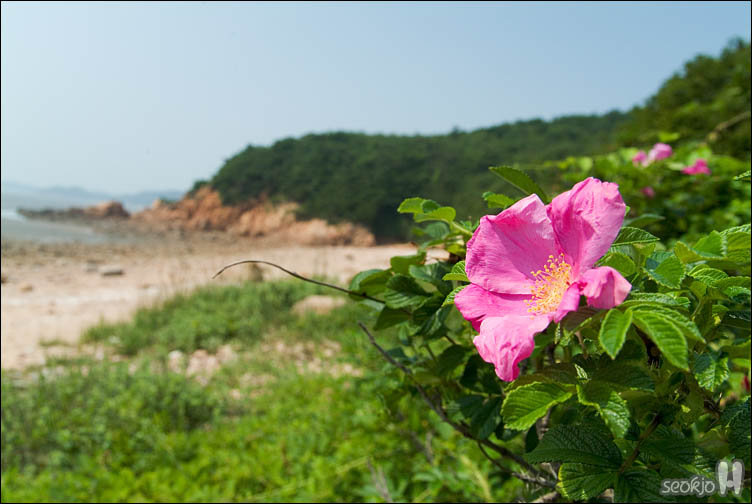 DSCF9760.jpg