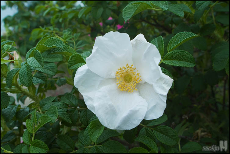 DSCF1287.jpg