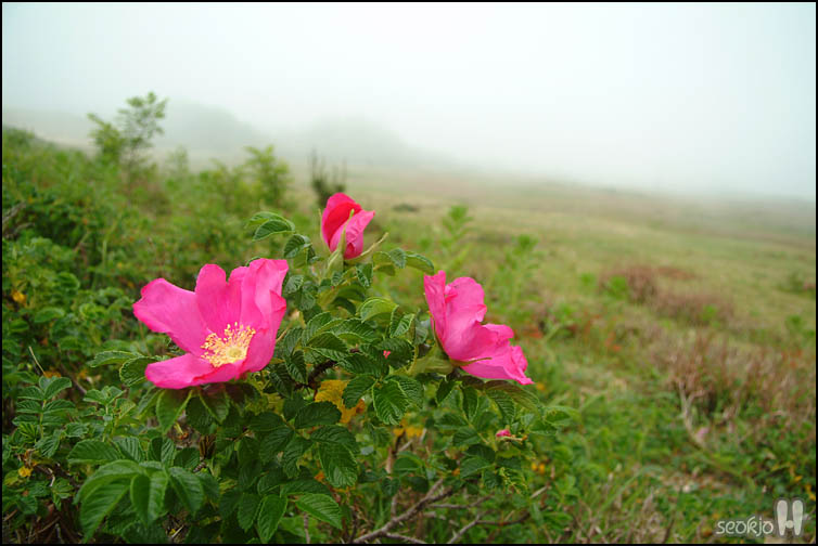DSCF1364.jpg