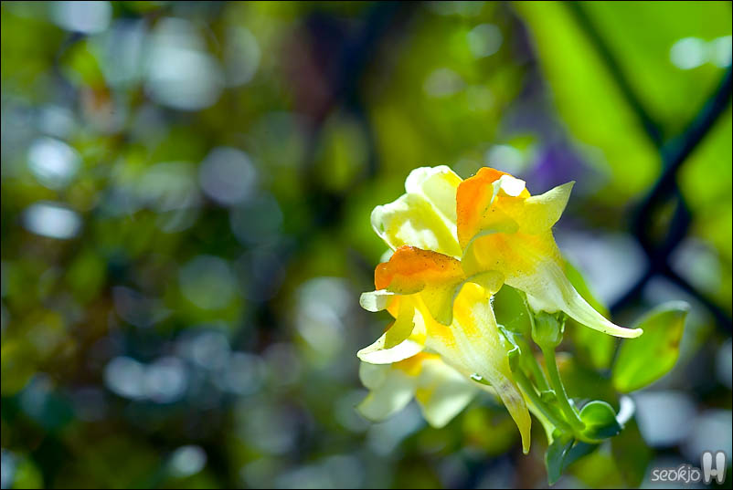 DSCF5916.jpg