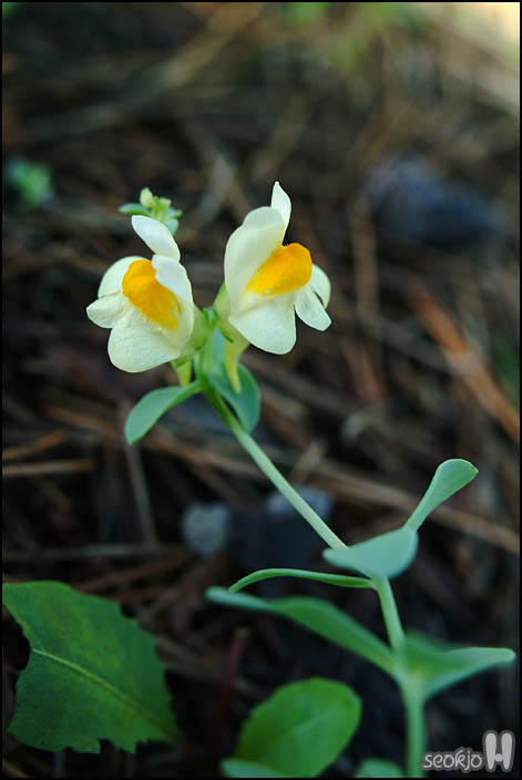 DSCF9474.jpg