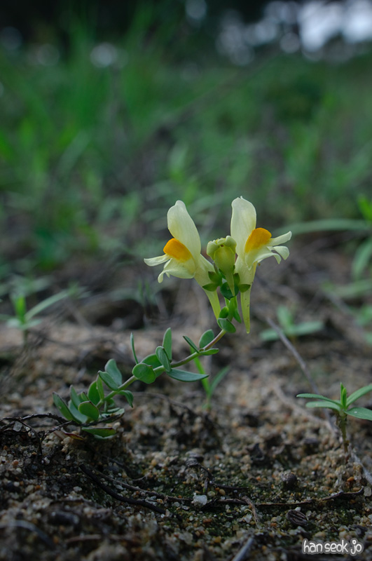 DSC_7685.jpg