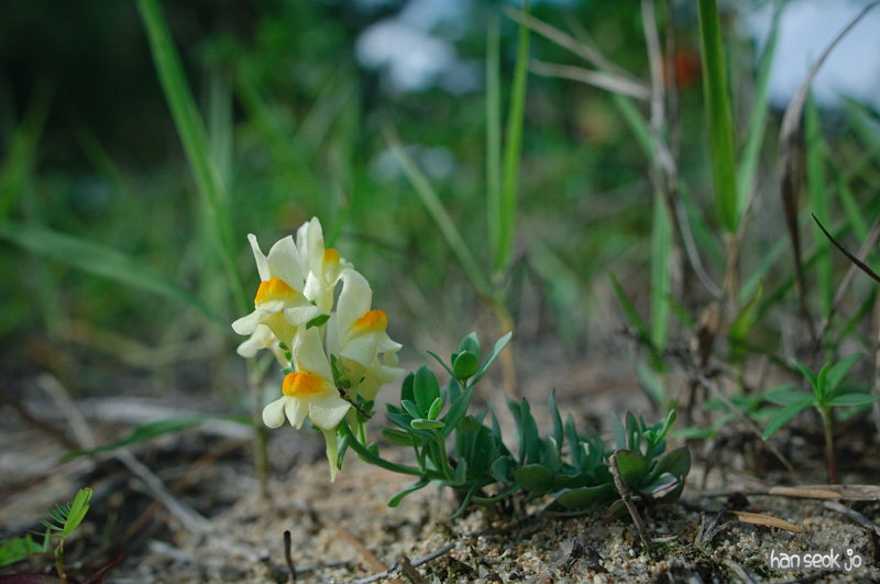 DSC_7691.jpg