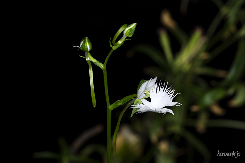 DSC_1860.jpg