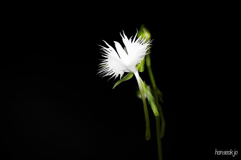 DSC_1914.jpg