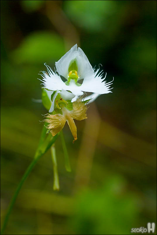 DSCF4798.jpg