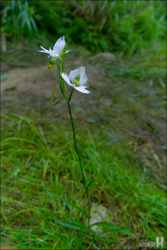 DSCF4795.jpg