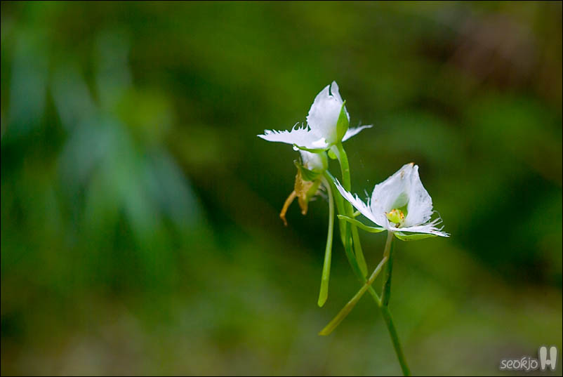 DSCF4805.jpg