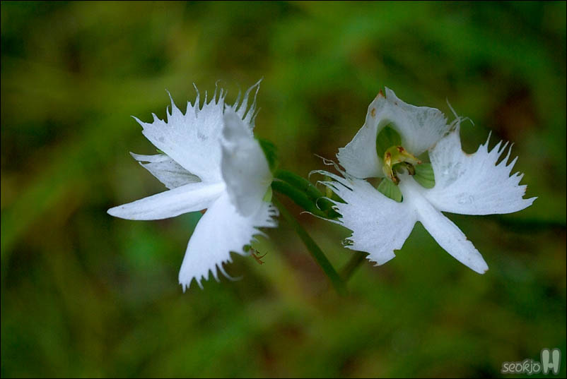 DSCF4777.jpg