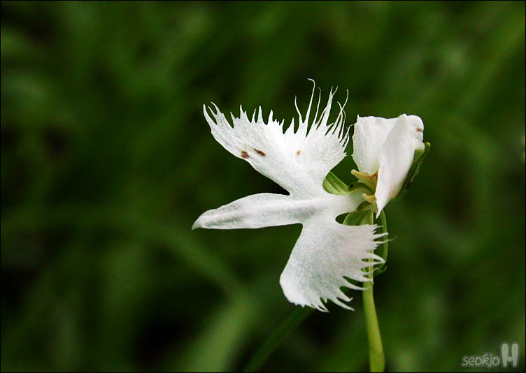 DSCN1352.jpg