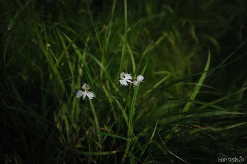 HSJ_4553.jpg