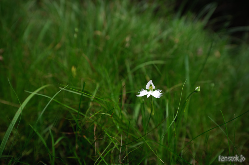 HSJ_0052.jpg