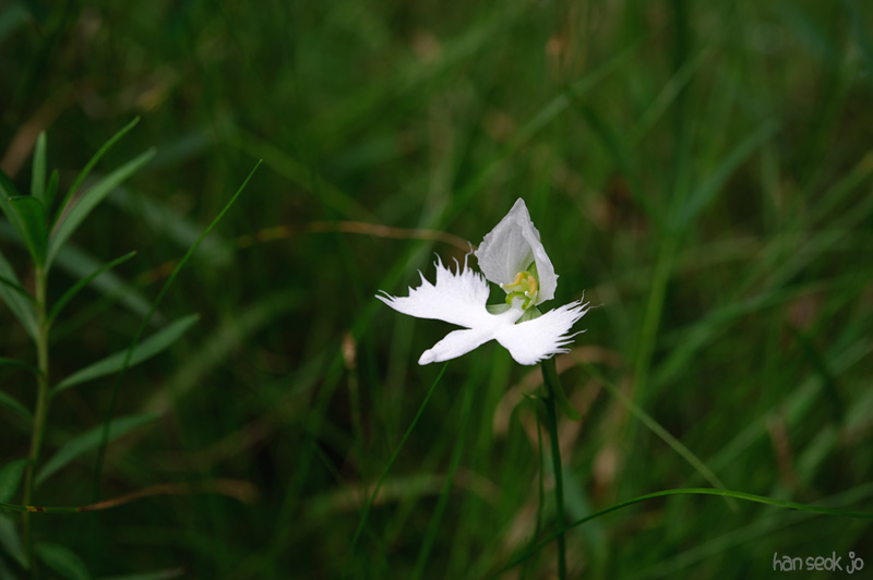 HSJ_0044.jpg