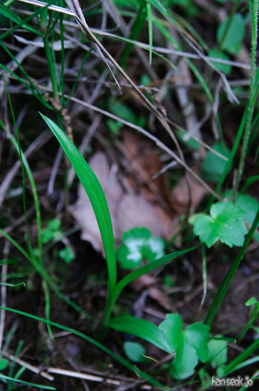 DSC_6989.jpg