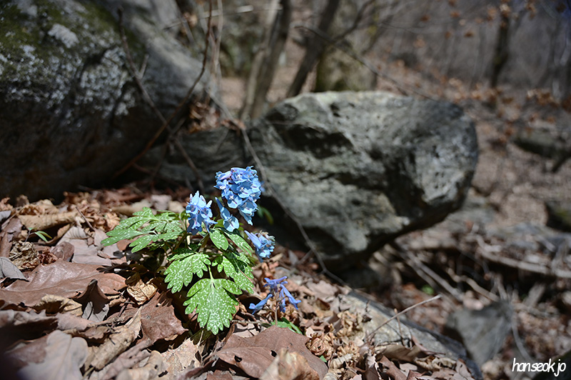 HAN_0203.jpg
