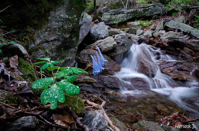 DSC_1346.jpg