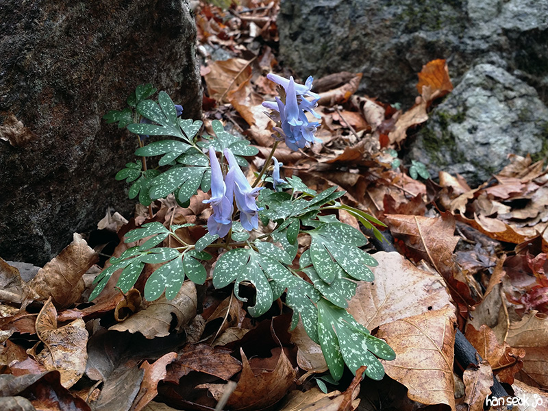 20170405_142230.jpg