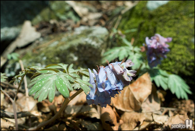 DSCF6878.jpg