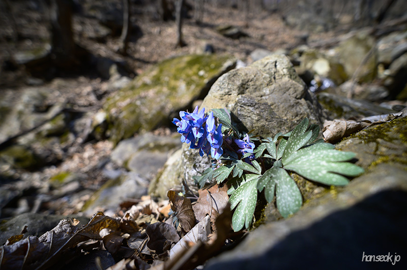 DSC_1817.jpg