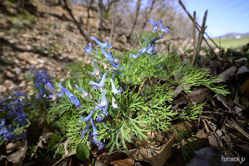 DSC_1912.jpg