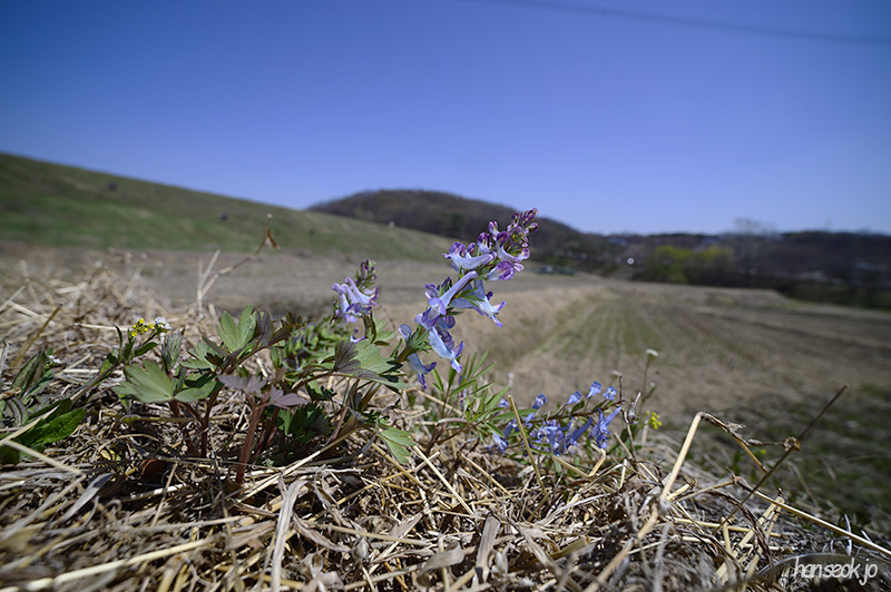 DSC_1905.jpg