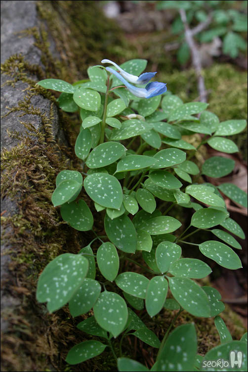 DSCF7028.jpg