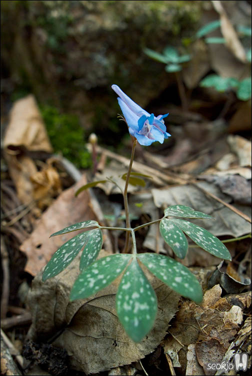 DSCF7031.jpg