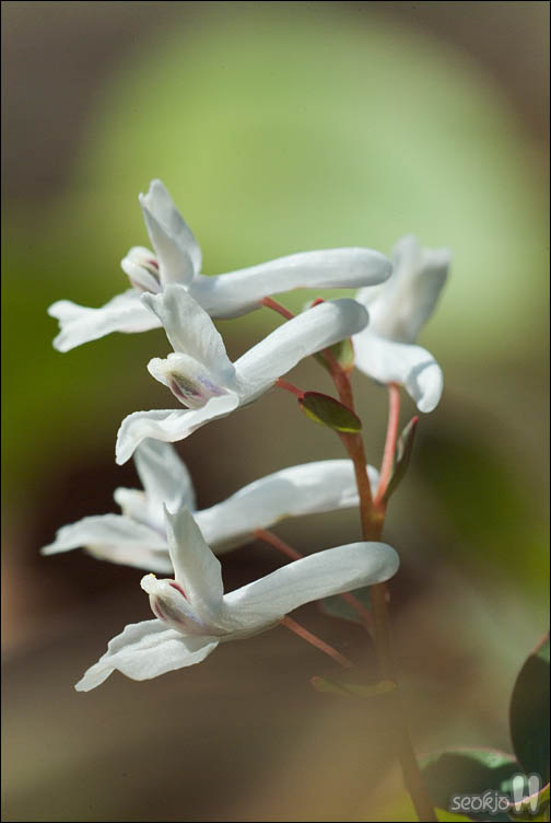 DSCF2579.jpg
