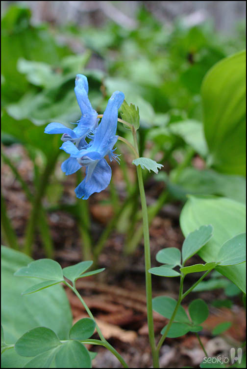 DSCF6393.jpg