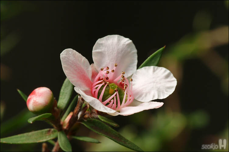 DSCF5848.jpg