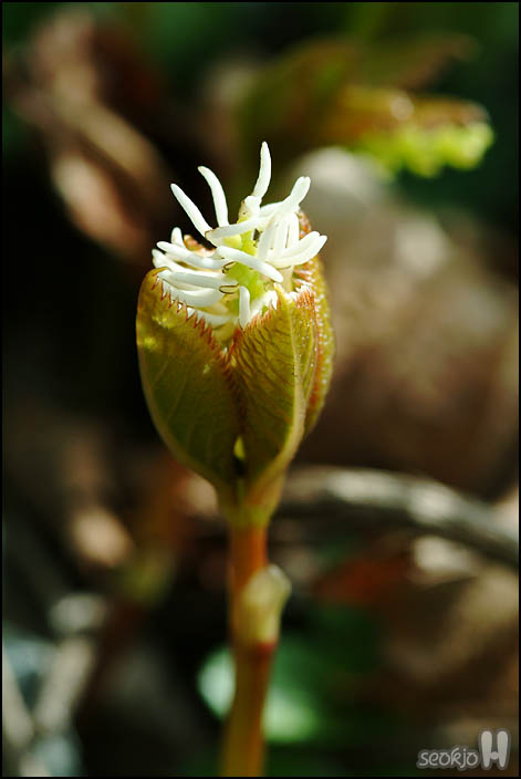 DSCF6493.jpg