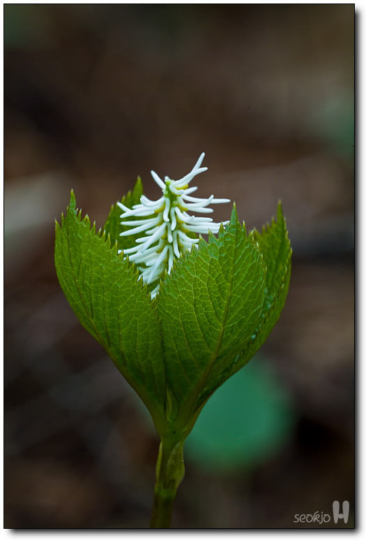 DSCF8080.jpg