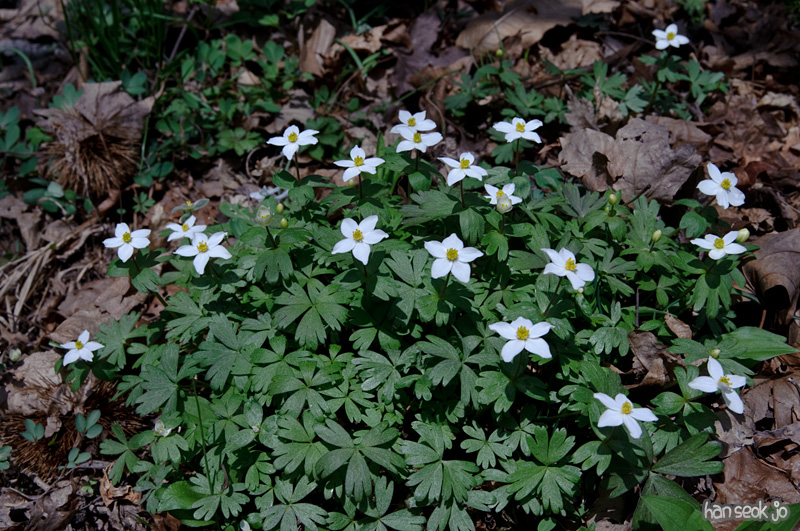 DSC_1059.jpg
