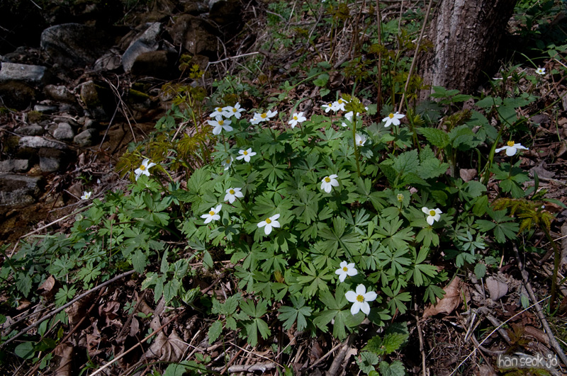 DSC_1068.jpg