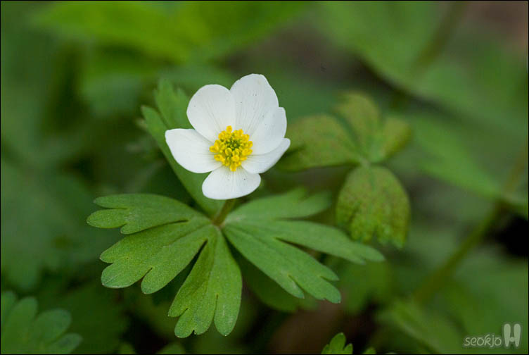 DSCF7790.jpg